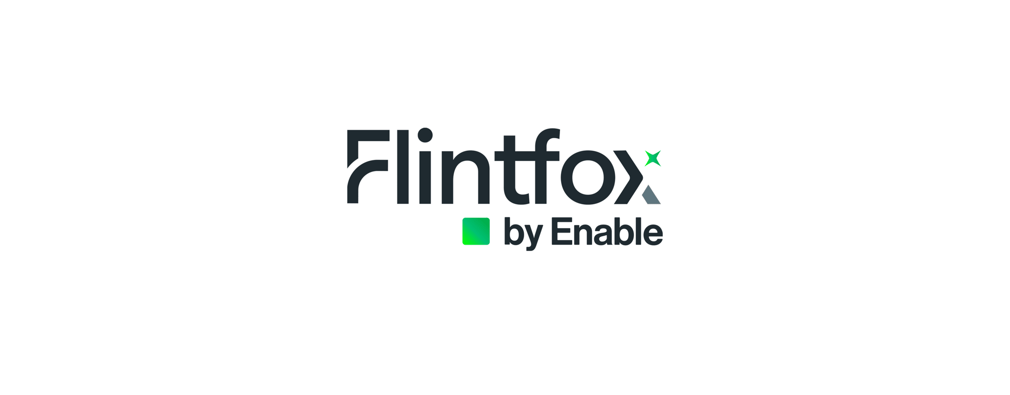flintfox-by-enable_logo_rgb_white_bg_fade2